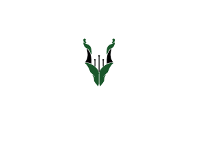 P-secure-lab-Logo (1)